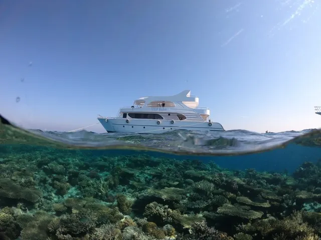 Orange bay Island Trip