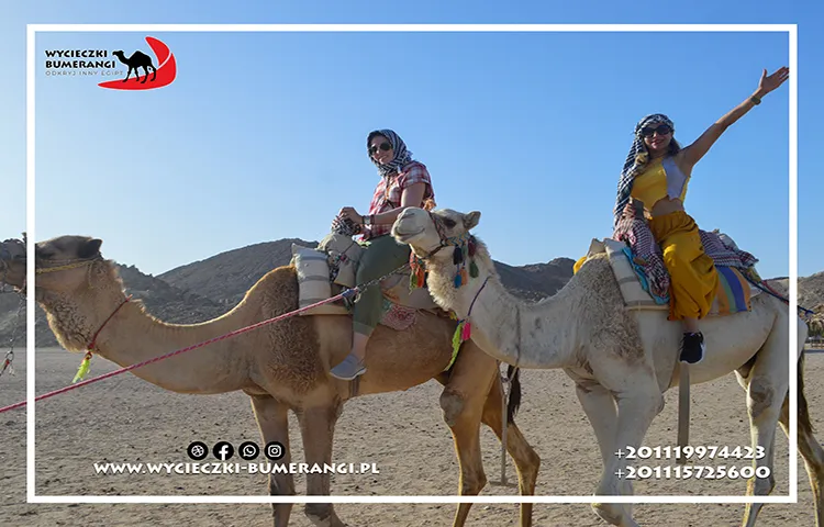 Super Bedouin Safari
