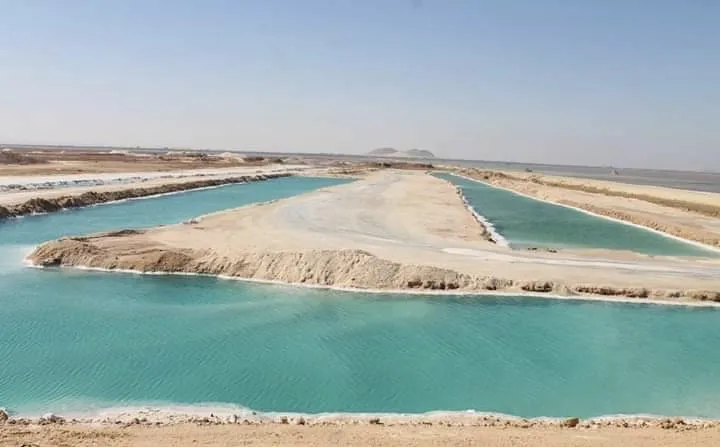 Oaza Siwa 