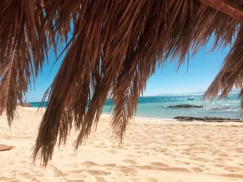 HULA HULA / Paradise Island