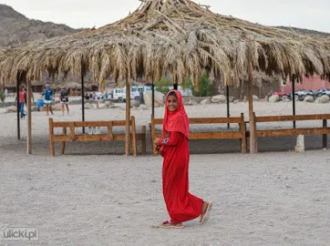 Super Bedouin Safari