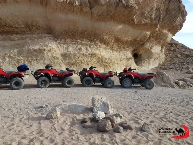 Family Safari 