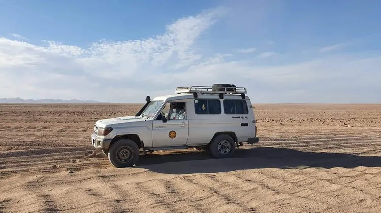 Family Safari 