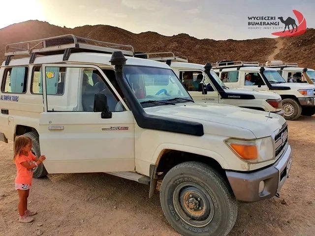 Family Safari 
