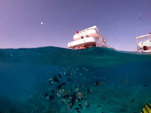 Orange bay Island Trip