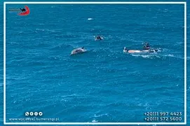 sea-trips
