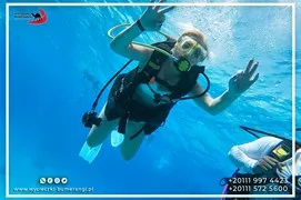 sea-trips