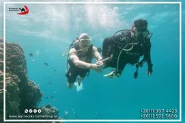 sea-trips
