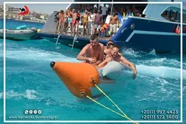 sea-trips