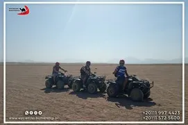 safari-desert