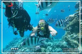 sea-trips