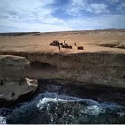 safari-desert