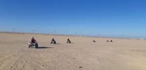 safari-desert