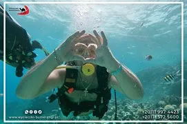 sea-trips