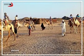 safari-desert
