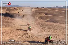 safari-desert