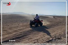 safari-desert