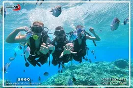 sea-trips