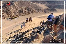 safari-desert
