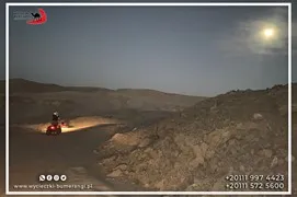safari-desert