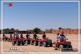 safari-desert