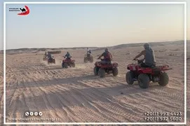 safari-desert