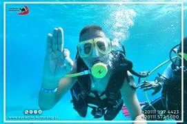 sea-trips