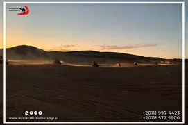 safari-desert