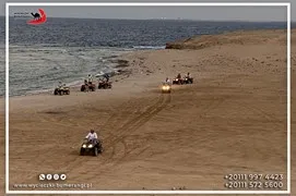 safari-desert
