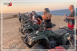 safari-desert
