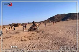 safari-desert