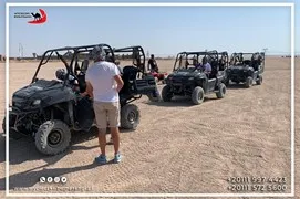 safari-desert