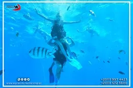 sea-trips