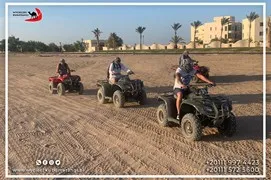 safari-desert