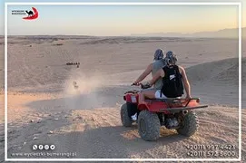 safari-desert