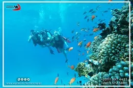 sea-trips