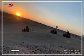 safari-desert