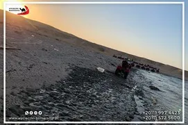 safari-desert