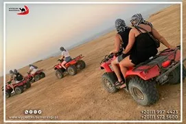 safari-desert