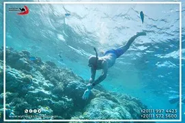 sea-trips