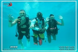 sea-trips
