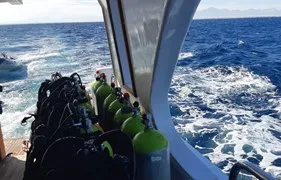 sea-trips