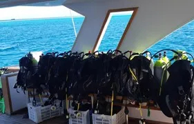 sea-trips