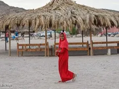 safari-desert