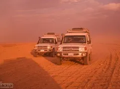 safari-desert
