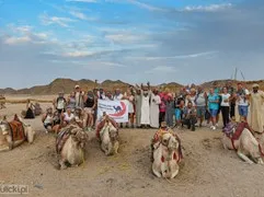 safari-desert