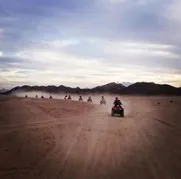safari-desert