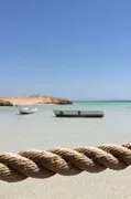 sea-trips
