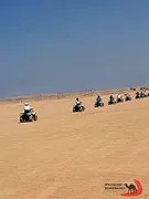 safari-desert