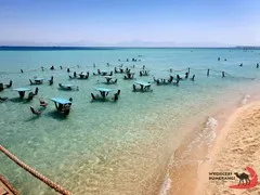 sea-trips